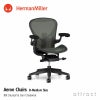 Herman Miller ハーマンミラー Aeron Chair アーロンチェア リマスタード Bサイズ ミディアム カーボン ポスチャーフィット フル装備 （カーペット用キャスター） デザイン：ビル・スタンフ ＆ ドン・チャドウィック