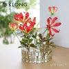 KLONG クロング ANG VASE Large ラージ Ø21cm フラワーベース 花器 カラー：2色 デザイン：エヴァ・シルト