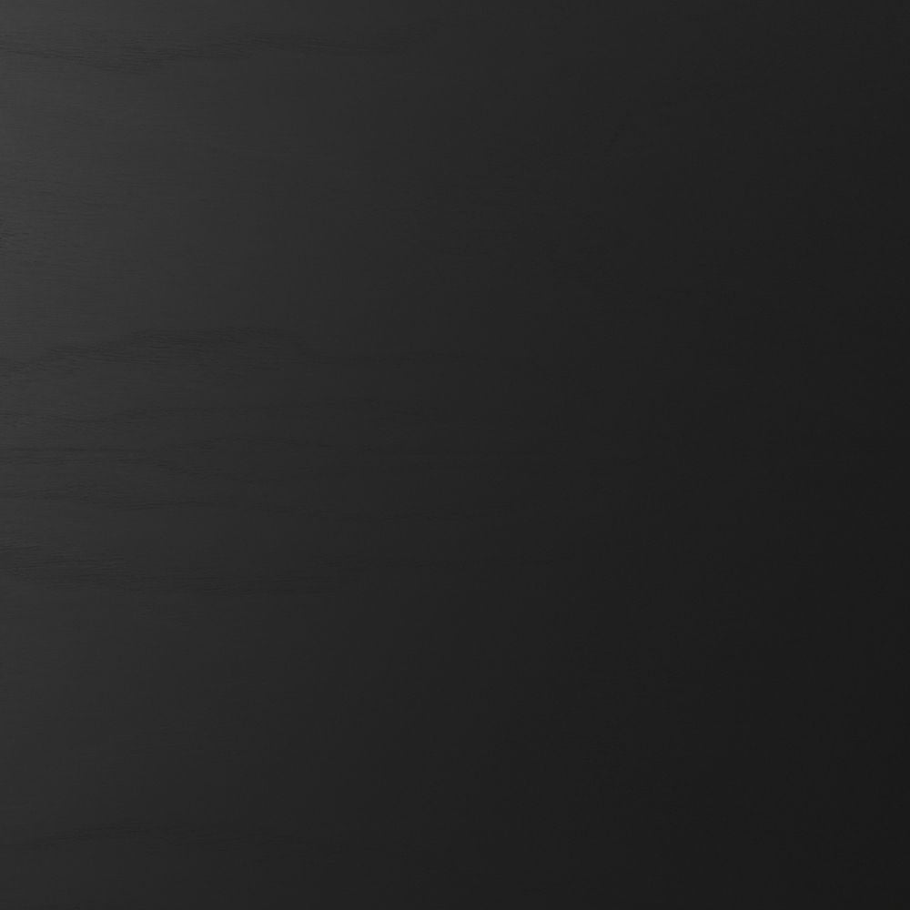 FRITZ HANSEN フリッツ・ハンセン ANT アリンコチェア 3101 チェア 4本脚 カラードアッシュ カラー：ブラック ベースカラー：ブラック粉体塗装仕上げ デザイン：アルネ・ヤコブセン