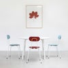 MAGIS マジス Mariolina マリオリナ ダイニングチェア スタッキング対応 カラー：7色 デザイン：エンツォ・マリ SD300