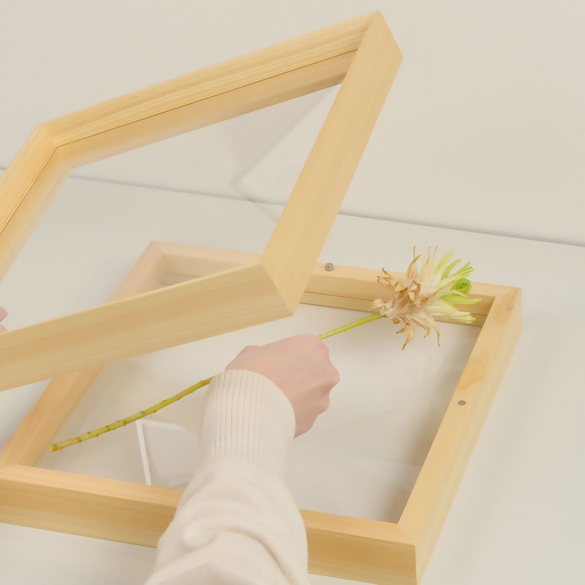 METAPHYS メタフィス fufua フーファ 25090-25091 Display Frame ディスプレイフレーム タイプ：スクエア レクタングル 国産ひのき材 デザイン：ムラタ チアキ ダイワ産業