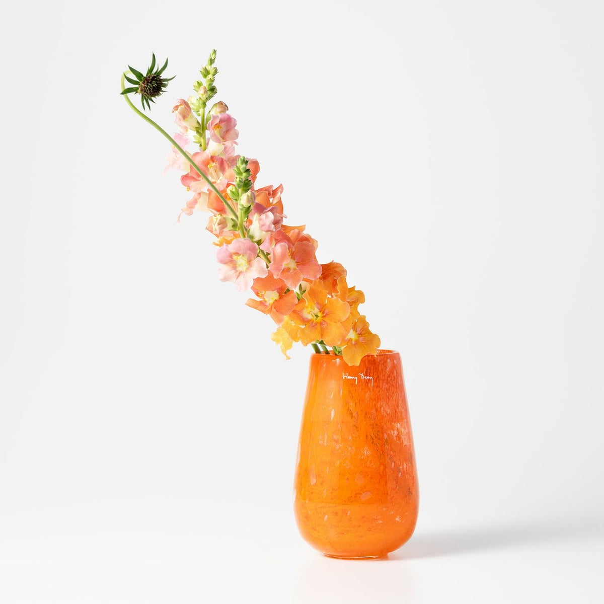 Henry Dean ヘンリー ディーン Stromboli XS ストロンボリ XS フラワーベース ハンドメイド ガラス 花器