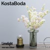 Kosta Boda コスタボダ Limelight ライムライト Rose Vase ローズベース フラワーベース サイズ：H23cm カラー：4色 ハンドメイド ガラス 花器