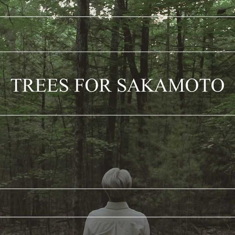 more trees モア・トゥリーズ KODACHI こだち コダチ シェルフ 棚 シナ合板 デザイン：隈 研吾