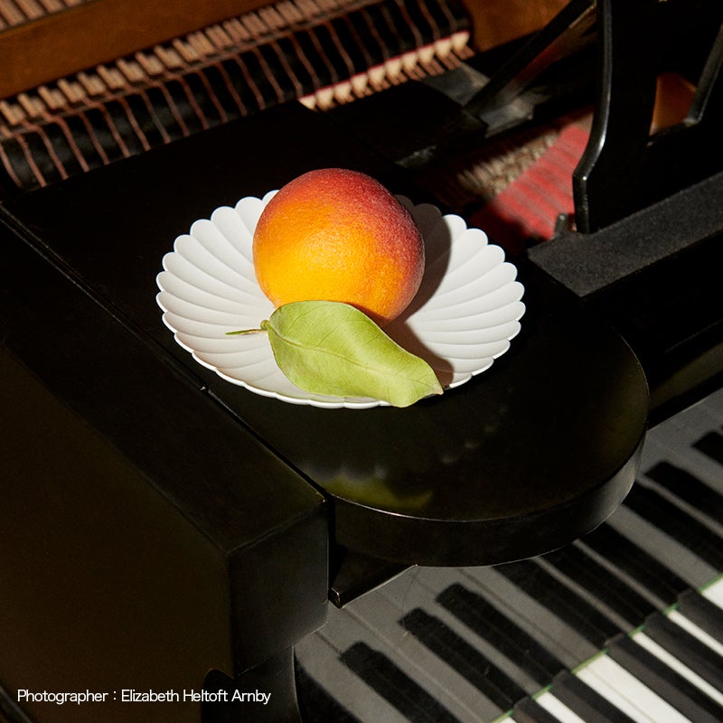 1616 / arita japan アリタ ジャパン TY Palace Plate パレス プレート サイズ：3種類 有田焼 陶磁器 食器 ライトグレー デザイン：柳原 照弘