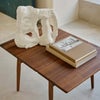 Carl Hansen & Son カール・ハンセン＆サン ND55 Coffee Table コーヒーテーブル 伸長式 拡張板付属 デザイン：ナナ・ディッツェル