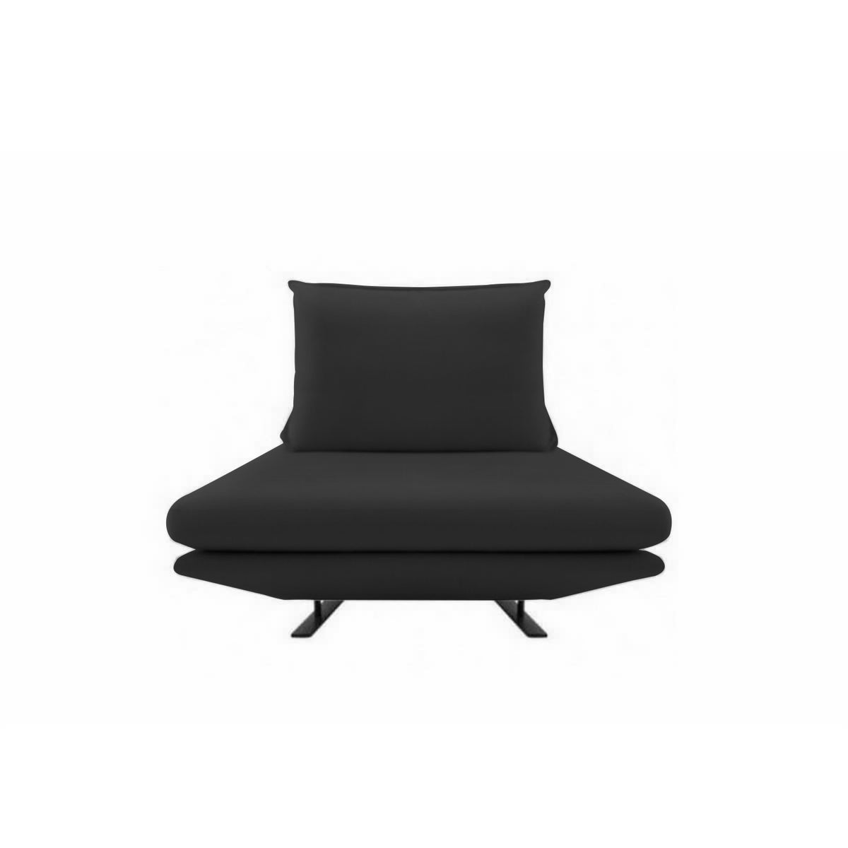 ligne roset リーン・ロゼ ROSETPrado ロゼプラド 1P ソファ 1人掛け レザー：Cランク 背クッション：1点セット デザイン：クリスチャン・ウェルナー