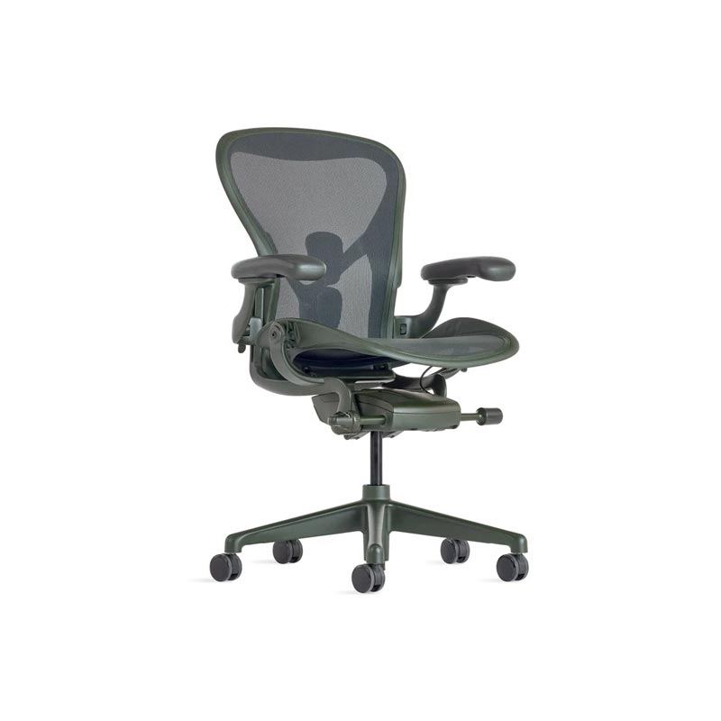 Herman Miller ハーマンミラー Aeron Chair アーロンチェア リマスタード Bサイズ ミディアム ジャスパー ポスチャーフィット フル装備 （カーペット用キャスター ） デザイン：ビル・スタンフ ＆ ドン・チャドウィック